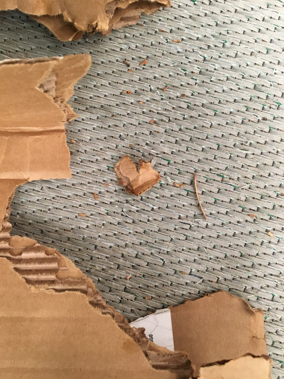 Grey mat in the background, a brown box torn up with pieces scattered with a heart from one of the torn pieces. 